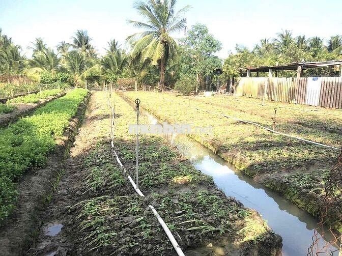 Đất Xã Long Định nay xã Long Hưng Đồng Tháp