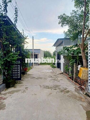 Đất hẻm Cây Dầu cạnh Khu Lavender