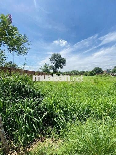 BÁN LÔ ĐẤT ĐẸP – GIÁ CHỈ 880 TRIỆU – SỞ HỮU NGAY SỔ HỒNG RIÊNG 333m2
