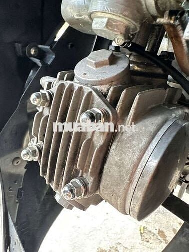 Ex 50cc