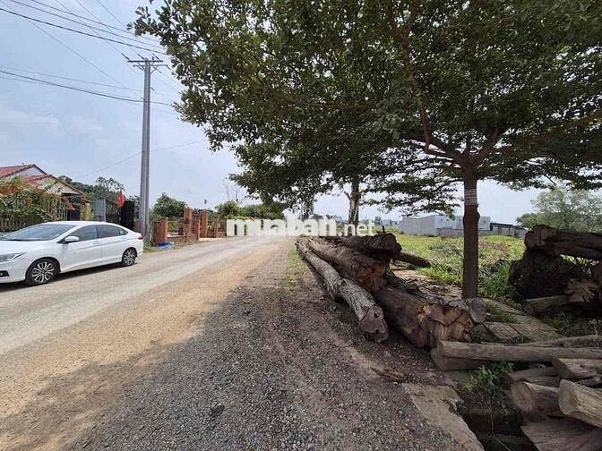 Mình chính chủ kẹt tiền ra gấp lô đất 2 mặt tiền đất biệt thự Châu Pha