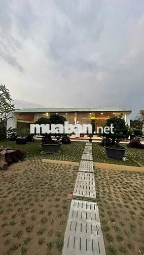 Bán hoặc cho thuê khu nhà vườn sinh thái 0,557 ha, 2 mặt tiền siêu đẹp