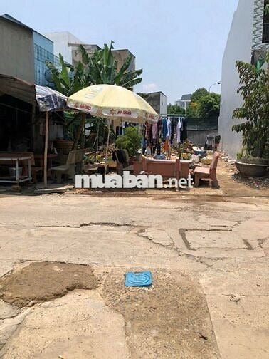 Đất thổ cư 136,6m² nở hậu khu dân cư Tanimex Tân Xuân Hóc Môn