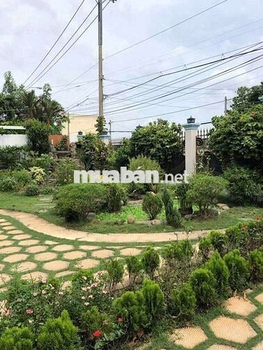 Biệt thự mặt tiền Dương Công Khi-Tân Hiệp-Hóc Môn.Dt 20x34~681m2~27ty