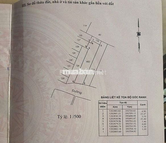 Đất thổ cư 136,6m² nở hậu khu dân cư Tanimex Tân Xuân Hóc Môn