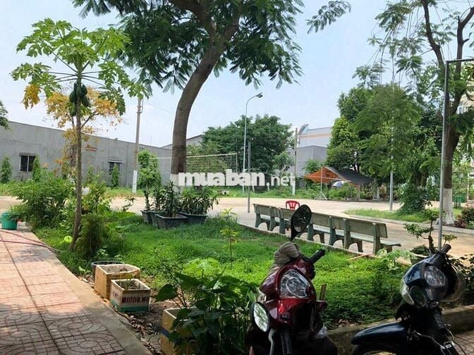 Đất thổ cư 136,6m² nở hậu khu dân cư Tanimex Tân Xuân Hóc Môn