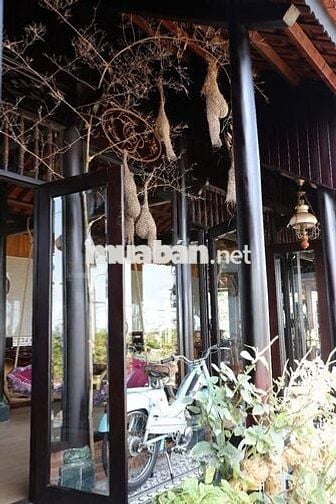 CHO THUÊ BIỆT THỰ GỖ CÓ HỒ BƠI- KHÔNG GIAN THIỀN AN YÊN GẦN SÔNG