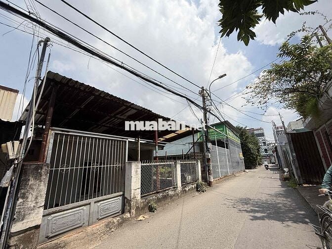 Lô đất đường 11 ngang 4m nở hậu 6,6m, siêu đẹp P Trường Thọ, Tp Thủ Đứ