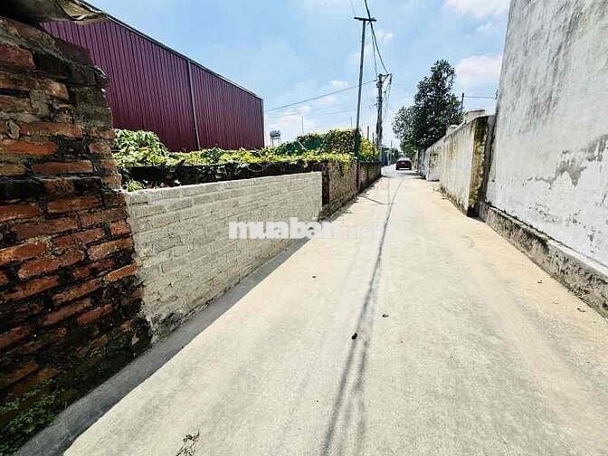Hơn 40m đường thông- ô tô 🚘 Nguyên Khê - Đông Anh