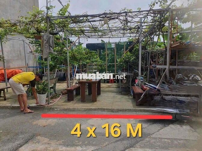 Bán Đất Thủ Đức, Phường Bình Chiểu Sau Chợ Đầu Mối, 64m2 Sổ Hồng Riêng