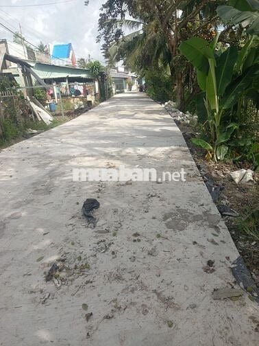 Đất sổ hồng 103m thổ cư ngang 4.75m dài 22 nở hậu