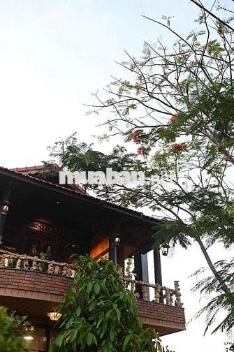CHO THUÊ BIỆT THỰ GỖ CÓ HỒ BƠI- KHÔNG GIAN THIỀN AN YÊN GẦN SÔNG