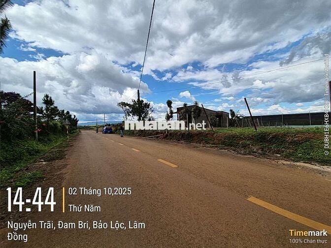 Bán đất sẵn thổ cư hơn 500m2 Ngay gần trung tâm p2 giá cực ưu đãi
