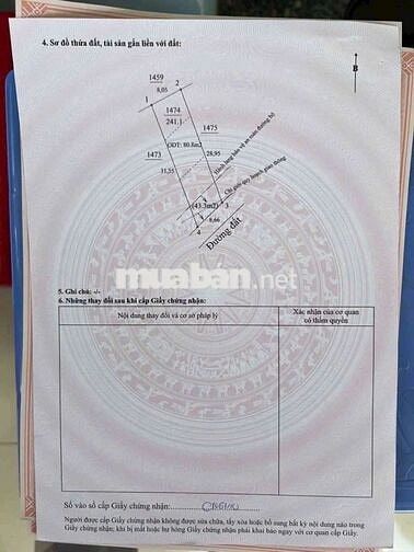 🔥Bán đất Tân Phước Khánh 52, Tân Khánh, TP.HCM – 240m² thổ cư, giá rẻ