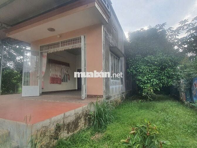 BÁN ĐẤT MẶT TIỀN ĐƯỜNG BÌNH LỘC – TÍN NGHĨA, TP. LONG KHÁNH 🌳