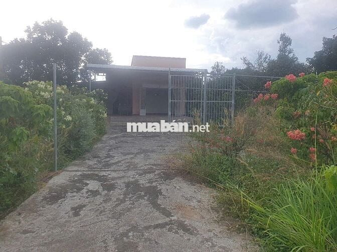 BÁN ĐẤT MẶT TIỀN ĐƯỜNG BÌNH LỘC – TÍN NGHĨA, TP. LONG KHÁNH 🌳