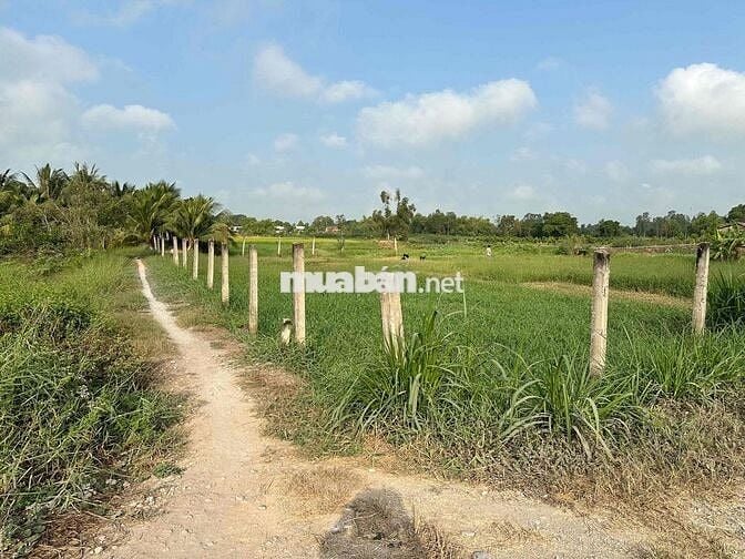 CHÍNH CHỦ CẦN BÁN ĐẤT VƯỜN – NGAY CẢNG, SÁT CỬA KHẨU BÌNH HIỆP – KIẾN