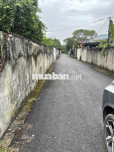 EM MUỐN BÁN LẠI MIỆNG ĐẤT MẶT TIỀN ĐƯỜNG NHỰA Ở PHÚ GIÁO