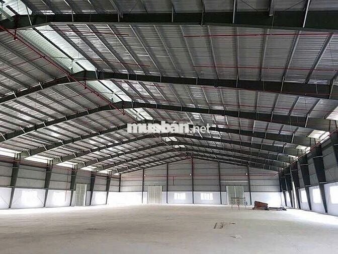 Cho thuê kho xưởng 3.300m2 , Trần Văn Giàu , Bình Tân , PCCC tự động