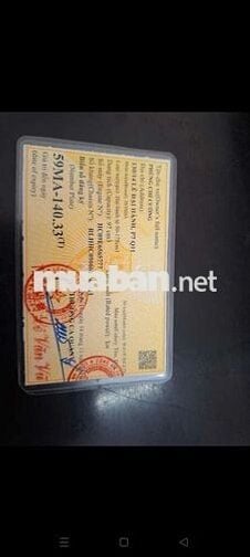 Wave 2024 BSTP Kiểng Đẹp 50Cc