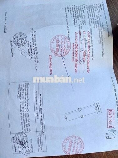 ✅Bán dãy trọ 6 phòng phường Cẩm Lệ,gần đường CMT8.