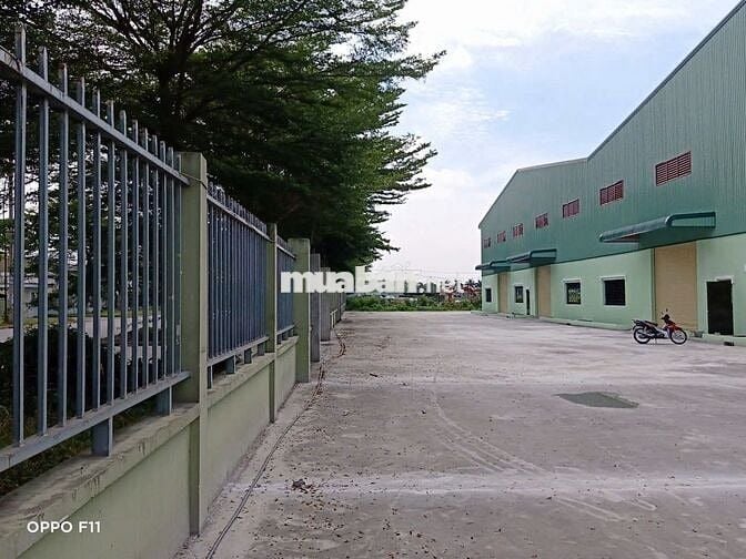 Cho thuê kho xưởng 3.300m2 , Trần Văn Giàu , Bình Tân , PCCC tự động