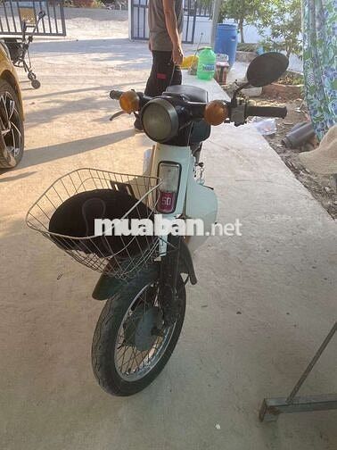 Cup cho học sinh 50c