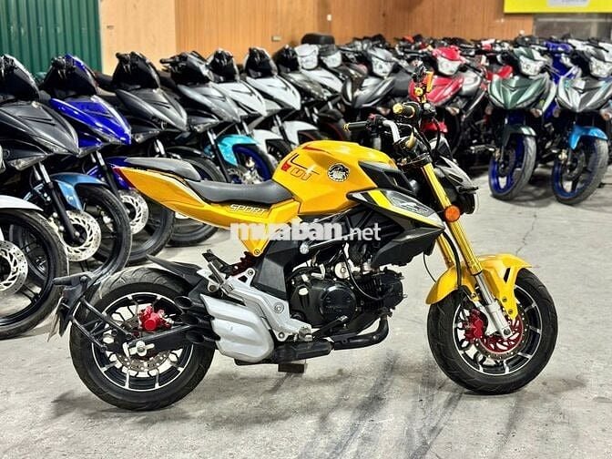 XE MÁYTHANH TÙNG_AGUSTA 110 VÀNG ĐEN CÔN TAY MINI