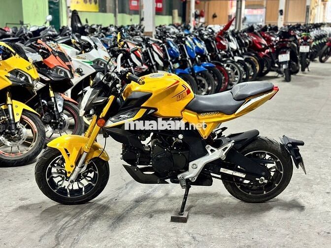 XE MÁYTHANH TÙNG_AGUSTA 110 VÀNG ĐEN CÔN TAY MINI