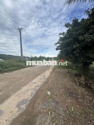 Bán Lô Đất View Đồi Ruộng , Thổ Cư 400m2, diện tích 2230m2-Tại Đak Lak