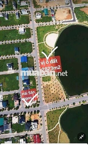 CẦN BÁN ĐẤT THƯƠNG MẠI DỊCH VỤ