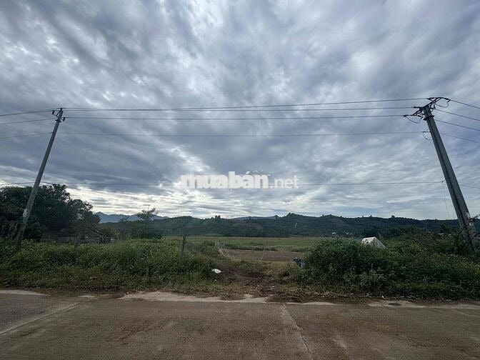 Bán Lô Đất View Đồi Ruộng , Thổ Cư 400m2, diện tích 2230m2-Tại Đak Lak