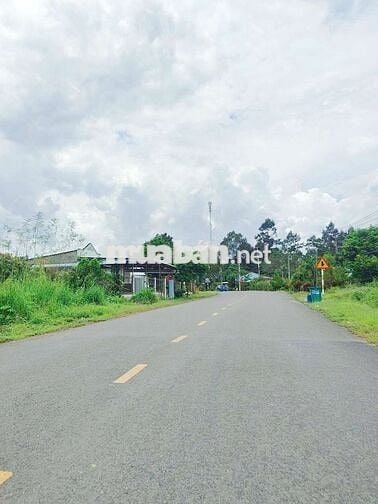 Bán 1656m² - 200m TC, ngang 20m, mặt tiền DH 32m dân đông 1ty450