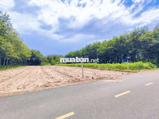 Bán 1656m² - 200m TC, ngang 20m, mặt tiền DH 32m dân đông 1ty450