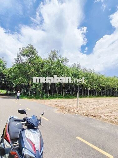 Bán 1656m² - 200m TC, ngang 20m, mặt tiền DH 32m dân đông 1ty450
