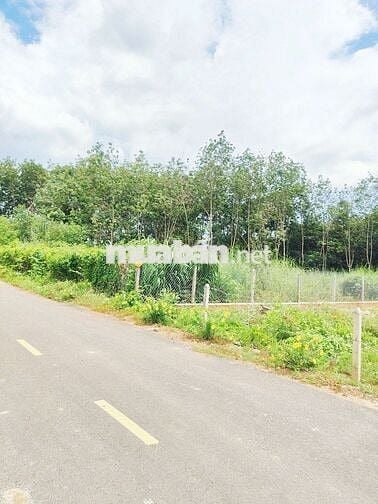 Bán cặp thổ cư liền kề 367m2 (10x37), có 200mtc, giá 690tr bao phí.