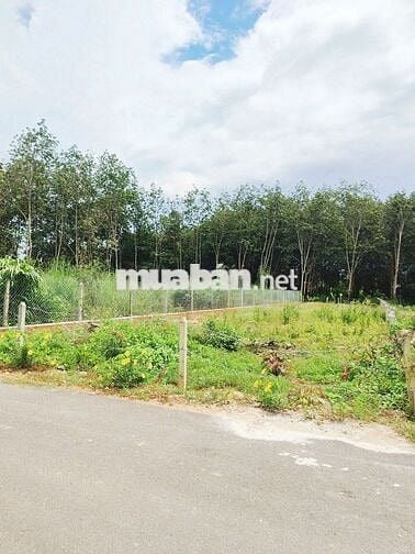 Bán cặp thổ cư liền kề 367m2 (10x37), có 200mtc, giá 690tr bao phí.