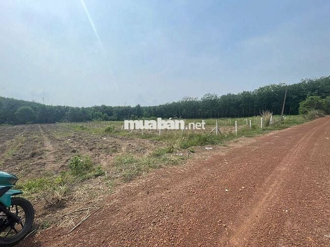 Đất sào view suối ngang 15m đất bằng phẳng, đừong thông 1700m²  550tr