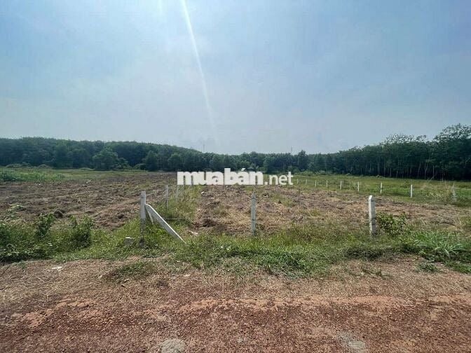 Đất sào view suối ngang 15m đất bằng phẳng, đừong thông 1700m²  550tr