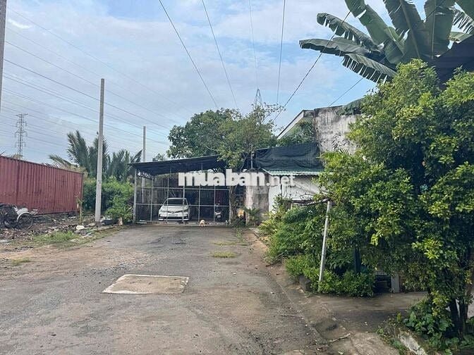 cho thuê kho 250m2 đường Phạm Hữu Lầu giá 17.5 tr