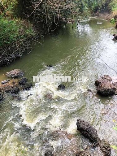 Đất sào view suối ngang 15m đất bằng phẳng, đừong thông 1700m²  550tr