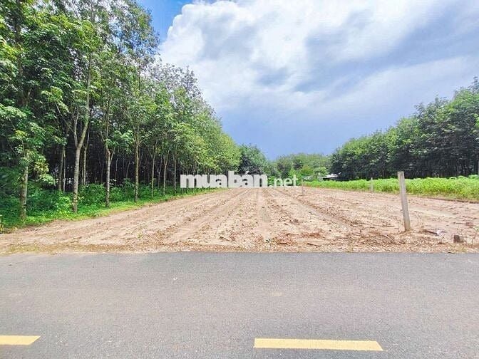 Bán 1656m² - 200m TC, ngang 20m, mặt tiền DH 32m dân đông 1ty450
