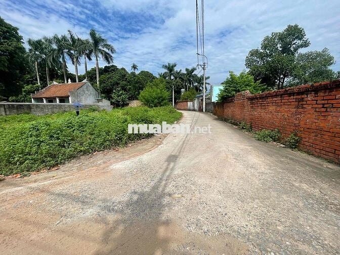 TÀI CHÍNH HƠN TỶ CỔ ĐÔNG 63,7M ĐƯỜNG TO THÔNG TRỤC CHÍNH THÔN CC BÁN