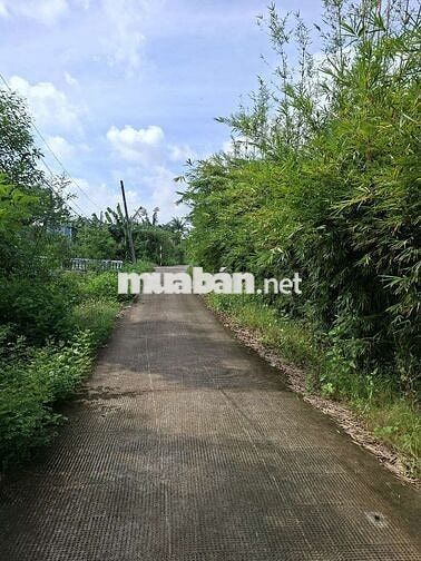 ĐẤT MẶT TIỀN PHƯỜNG 7 - LONG AN