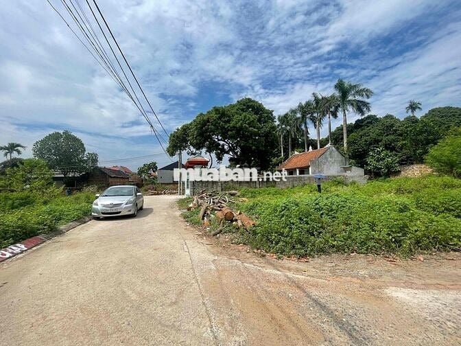 TÀI CHÍNH HƠN TỶ CỔ ĐÔNG 63,7M ĐƯỜNG TO THÔNG TRỤC CHÍNH THÔN CC BÁN