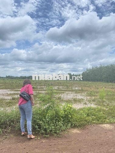 Cần Bán Lô Đất hơn 300m2 tại Thanh An, Hớn Quản,Bình Phước