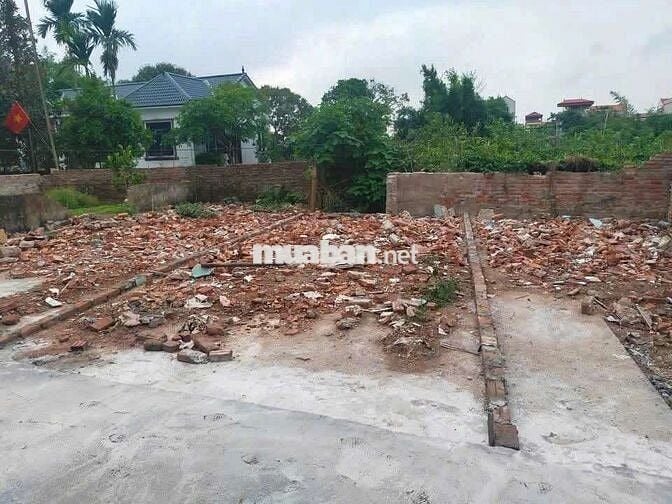 🥦 ĐẸP RẺ Ô TÔ ĐỖ CỬA ĐẤT 👉 CHƯƠNG DƯƠNG THƯỜNG TÍN - HÀ NỘI 
🪴 Diện