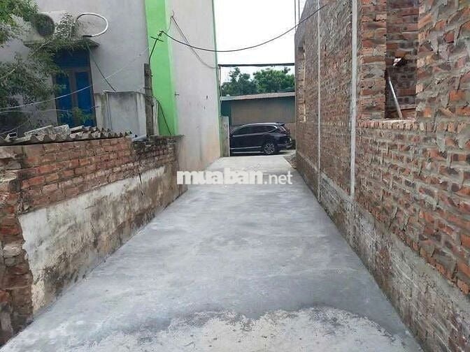 🥦 ĐẸP RẺ Ô TÔ ĐỖ CỬA ĐẤT 👉 CHƯƠNG DƯƠNG THƯỜNG TÍN - HÀ NỘI 
🪴 Diện