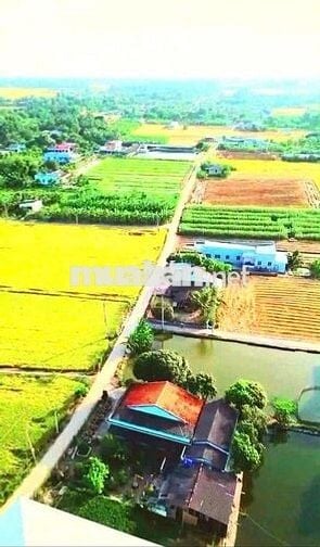 Quá ngộp, 110m2 đất thổ đường nguyễn thị tầm, 420tr