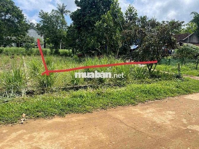 CHÍNH CHỦ CẦN TIỀN MUỐN BÁN GẤP LÔ ĐẤT GẦN ĐƯỜNG  HỒ CHÍ MINH GIÁ 260T